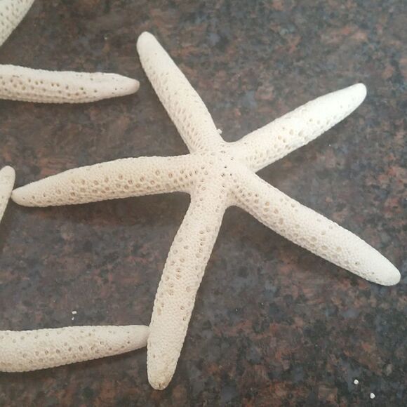 10 Faux Star Fish...New - Picture 2 of 3